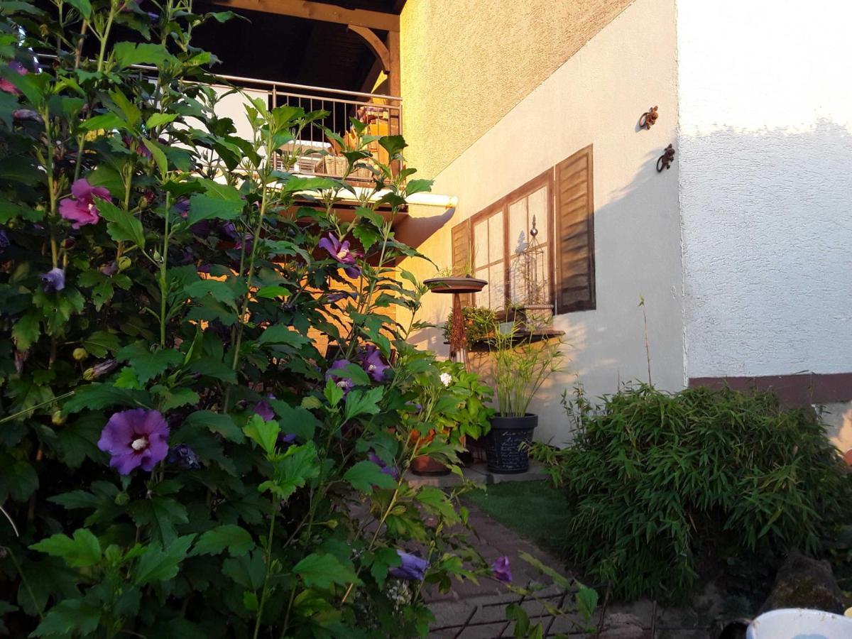 Ferienwohnung Haus Sonnenblick Momlingen Exterior foto
